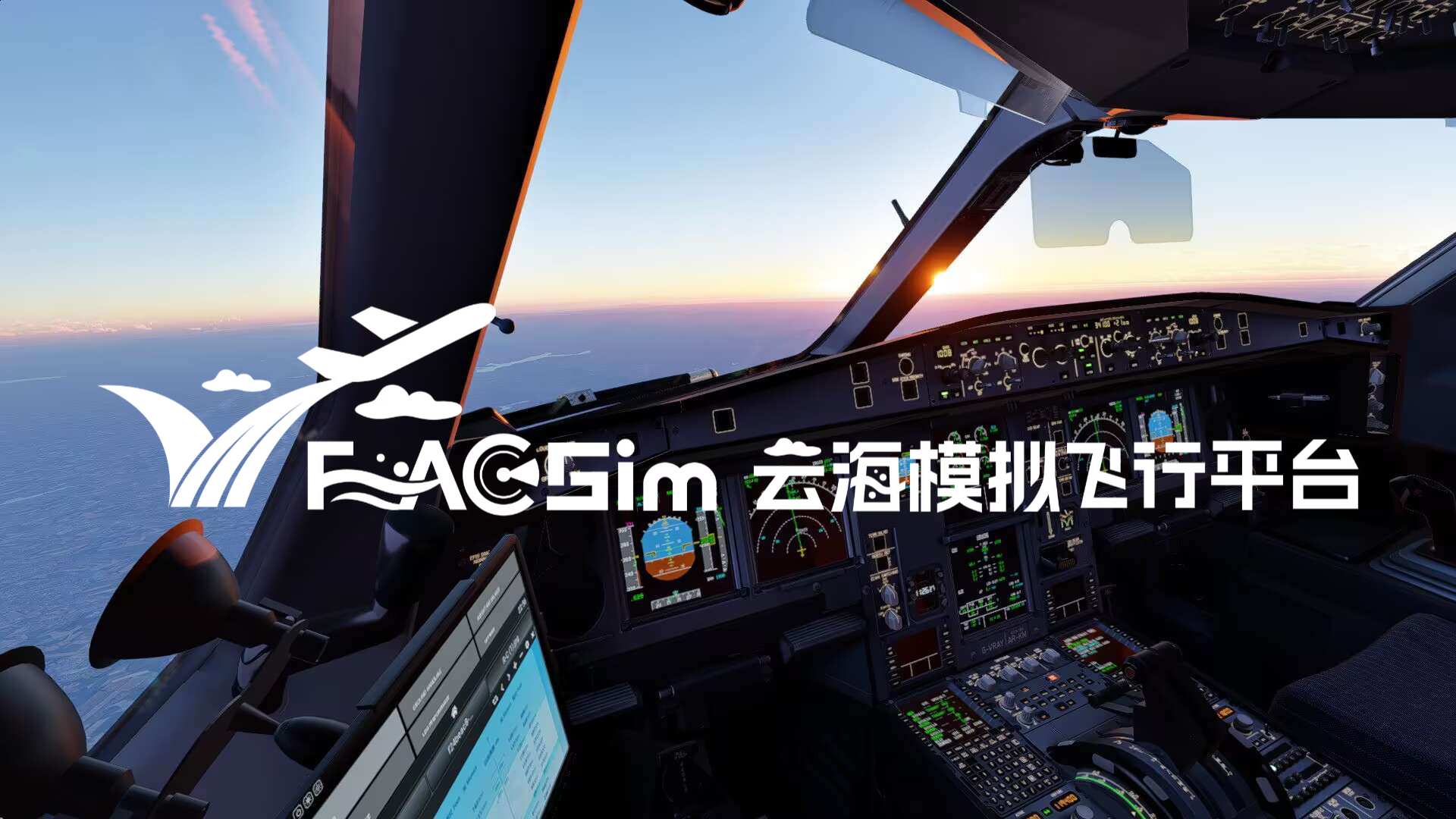 置顶 | VFACSim管理组成员公示